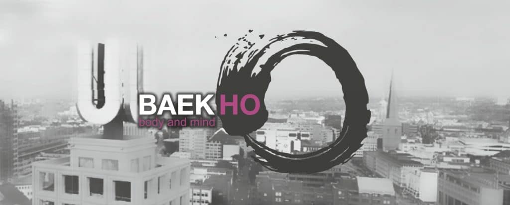 Logo BAEKHO